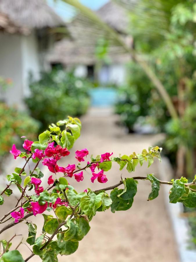 Jambiani White Sands Bungalows Luaran gambar