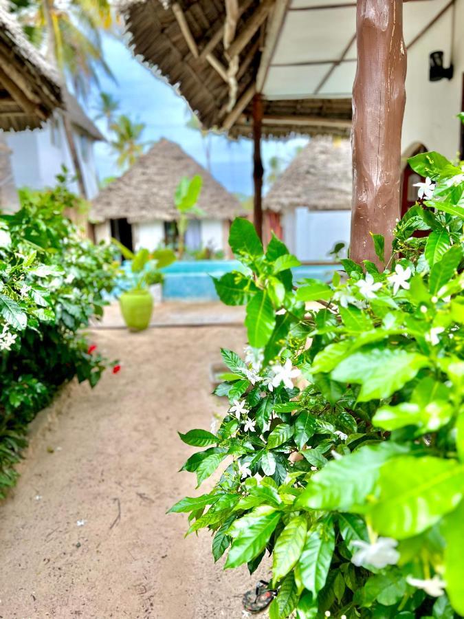 Jambiani White Sands Bungalows Luaran gambar